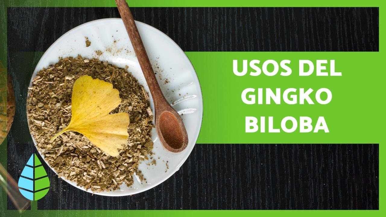 ginkgo biloba propiedades y beneficios para adelgazar