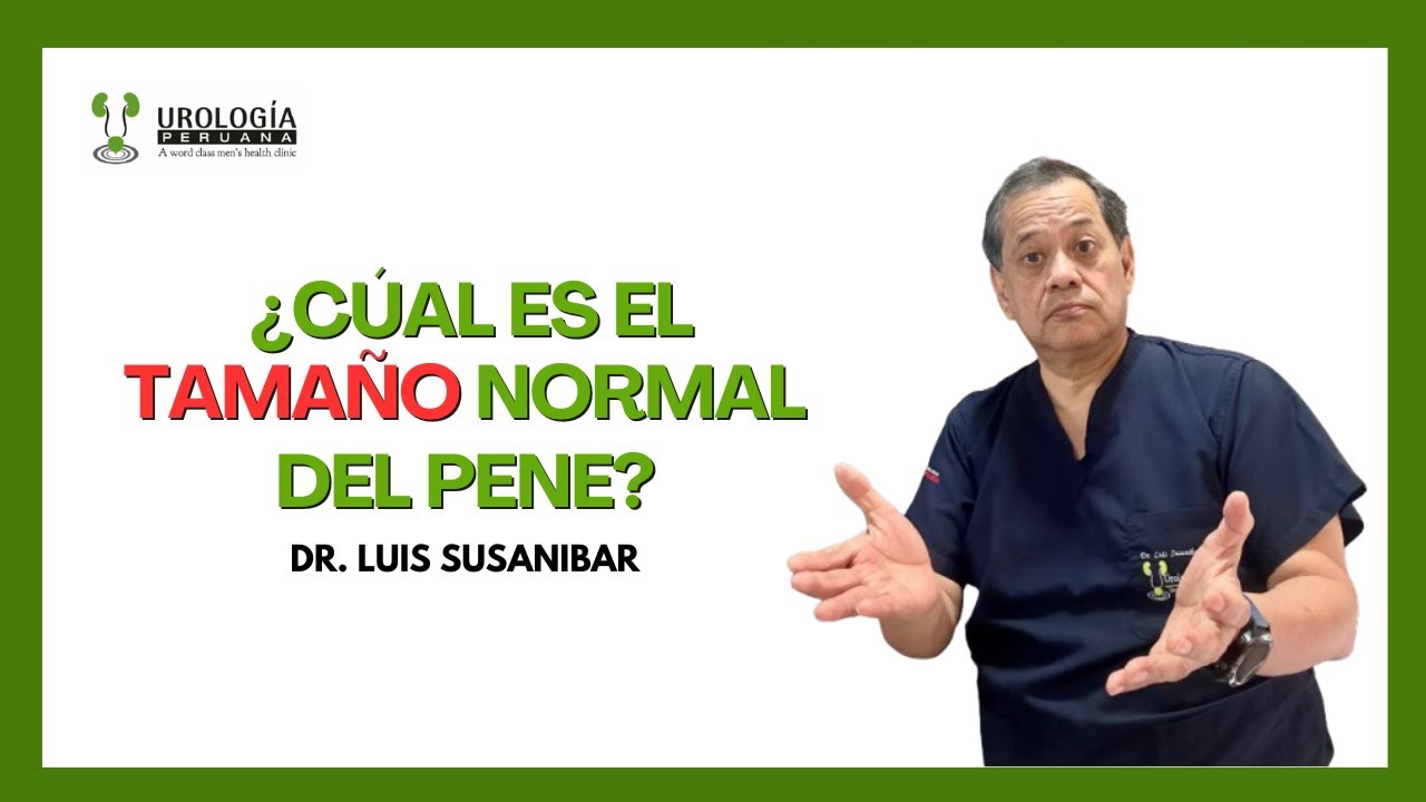 grosor medio del miembro en españa