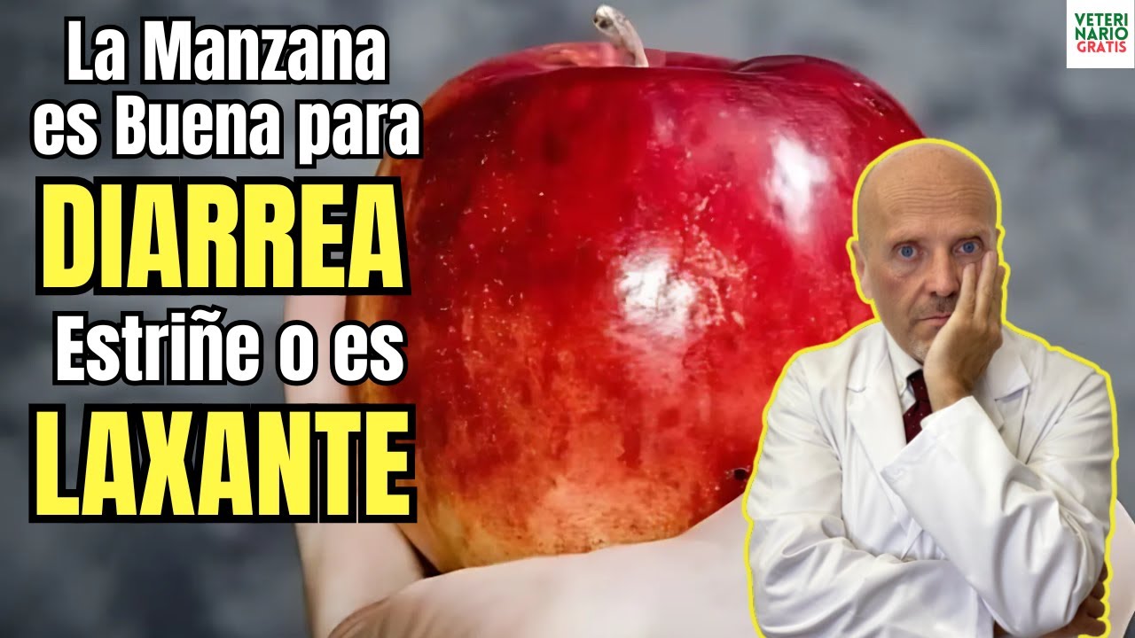 la manzana es buena para la gastroenteritis