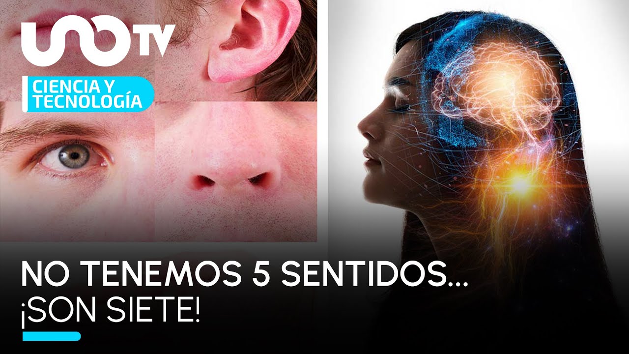 los 7 sentidos del ser humano