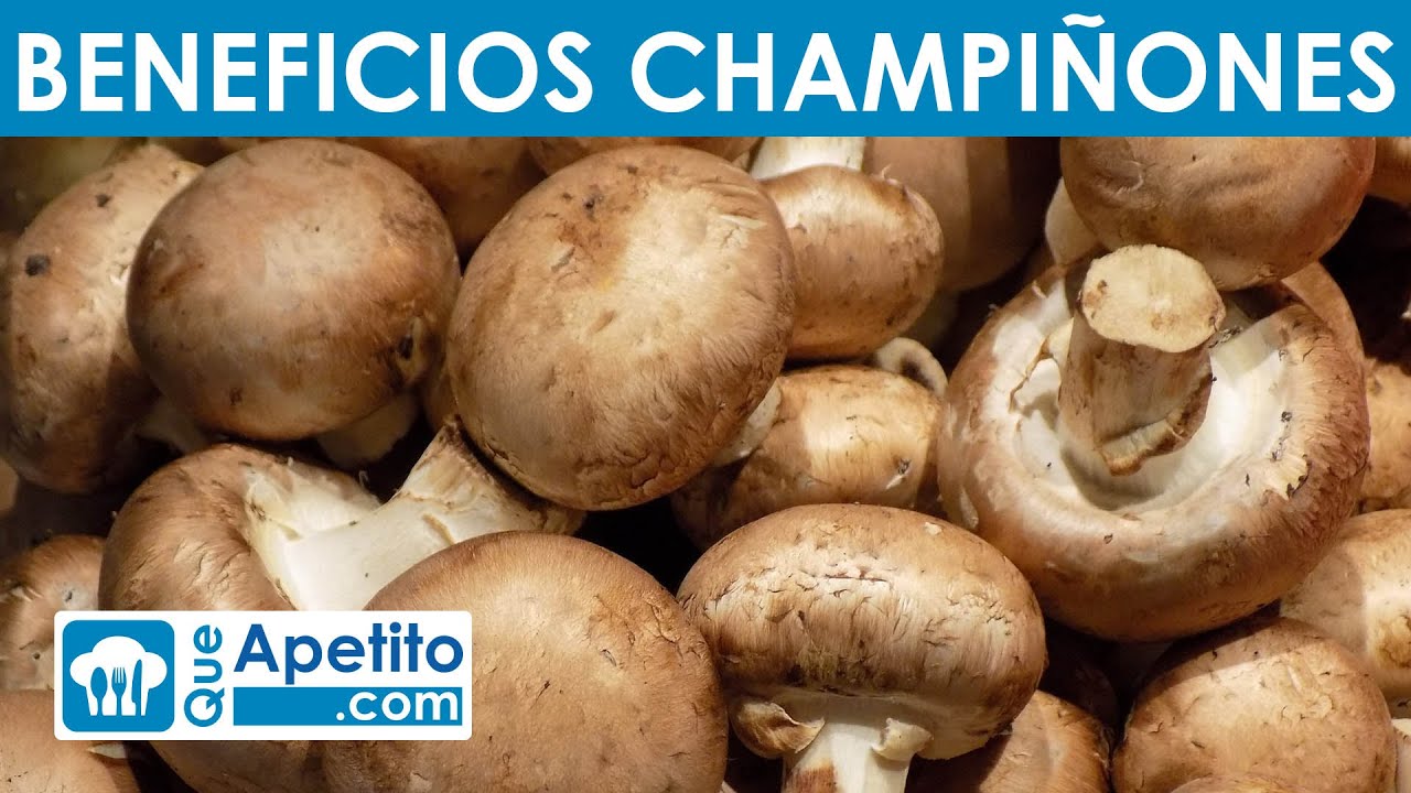 los champiñones son verdura o proteina