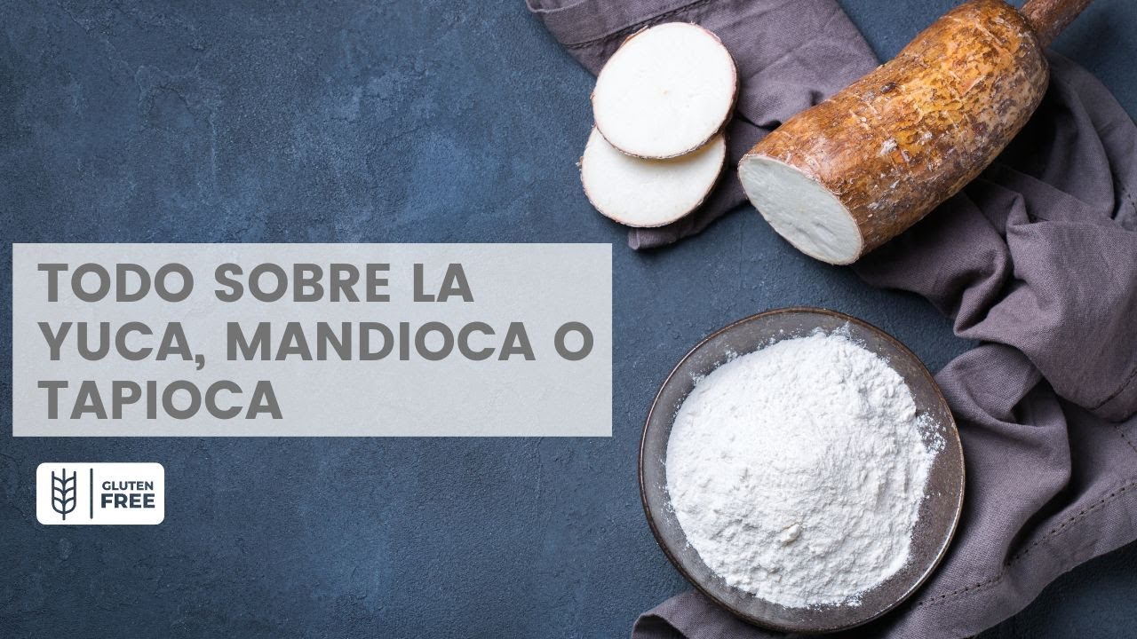 mandioca es lo mismo que yuca
