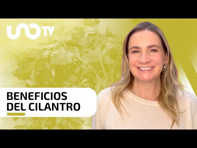 para que se usa el cilantro