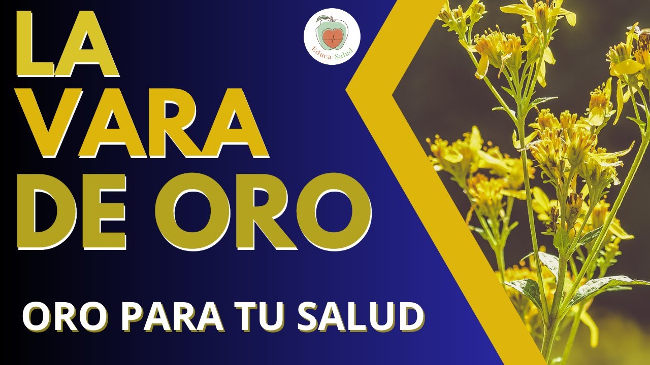 para que sirve la vara de oro