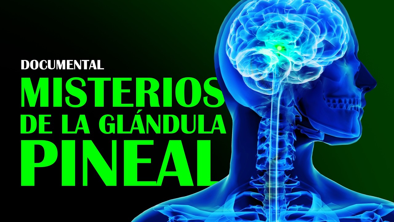 peligros de activar la glandula pineal