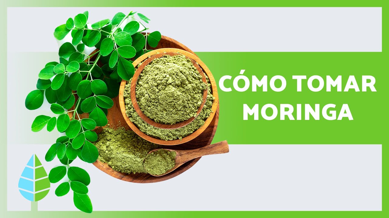polvo de moringa para que sirve
