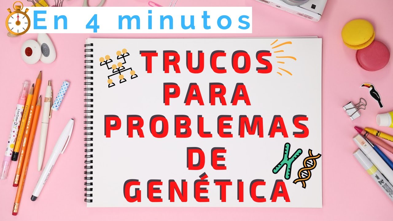 problemas de genetica resueltos 4 eso