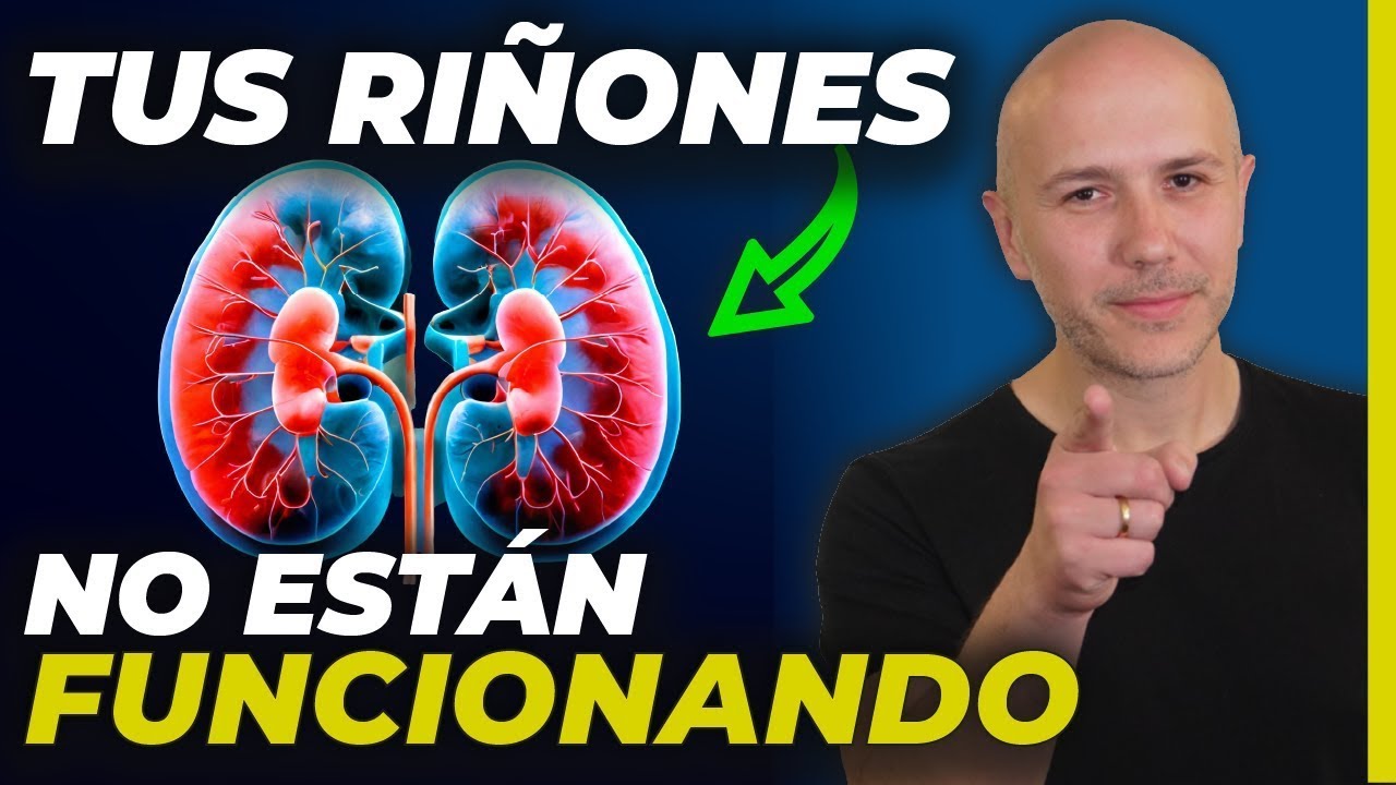 puede un riñón volver a funcionar