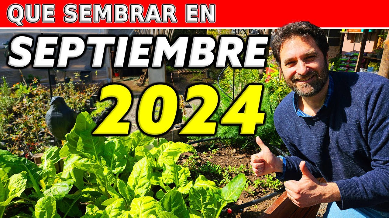 que se puede sembrar en septiembre