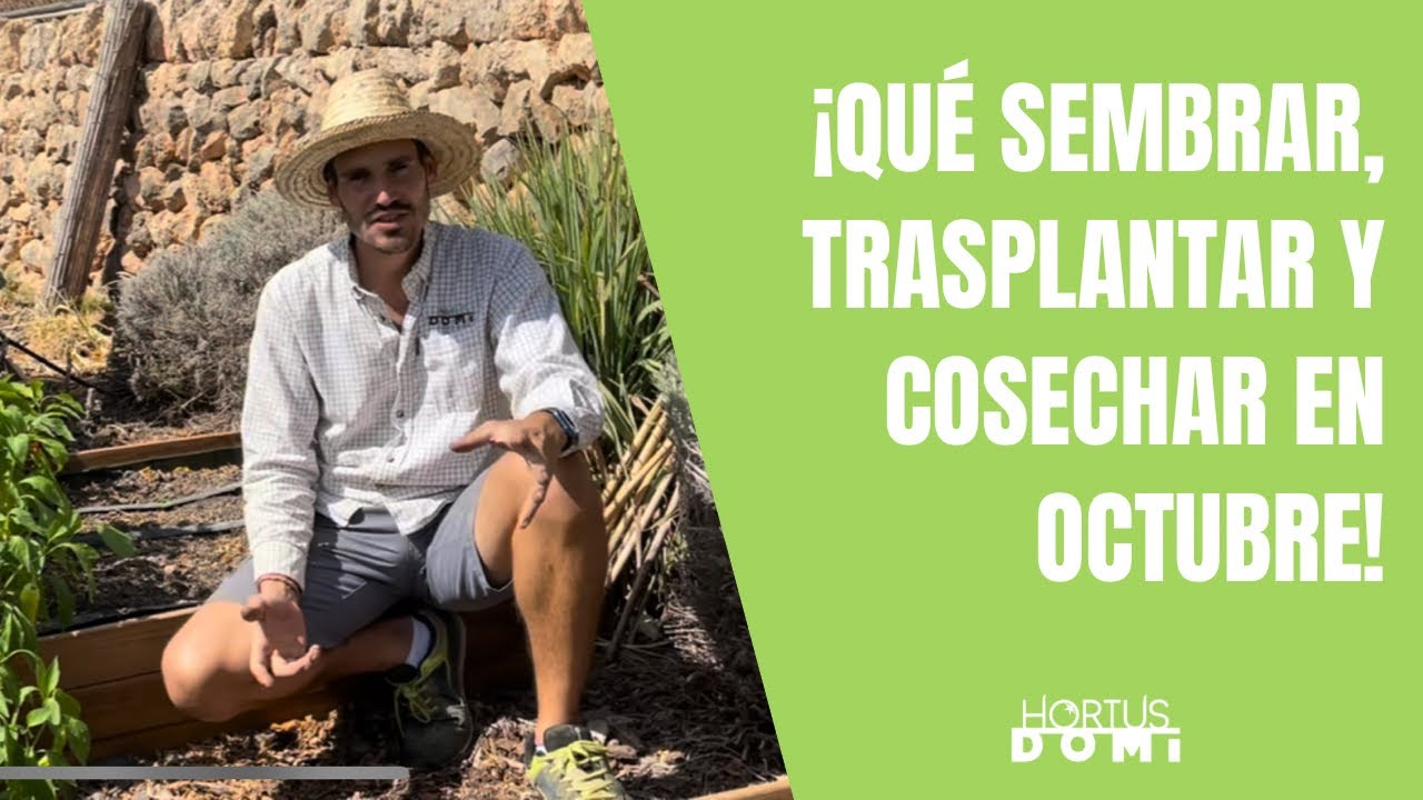 que se siembra en octubre en españa