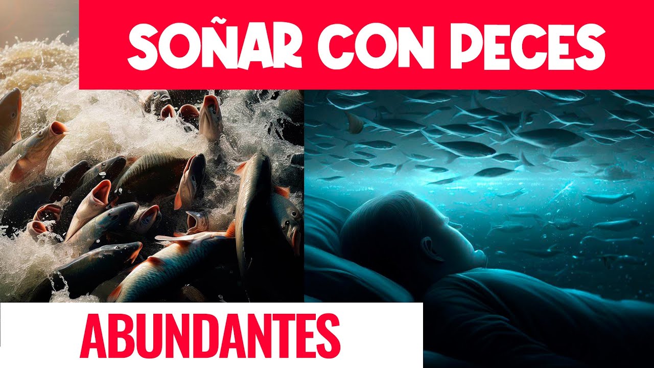 que significa soñar con pescados en abundancia