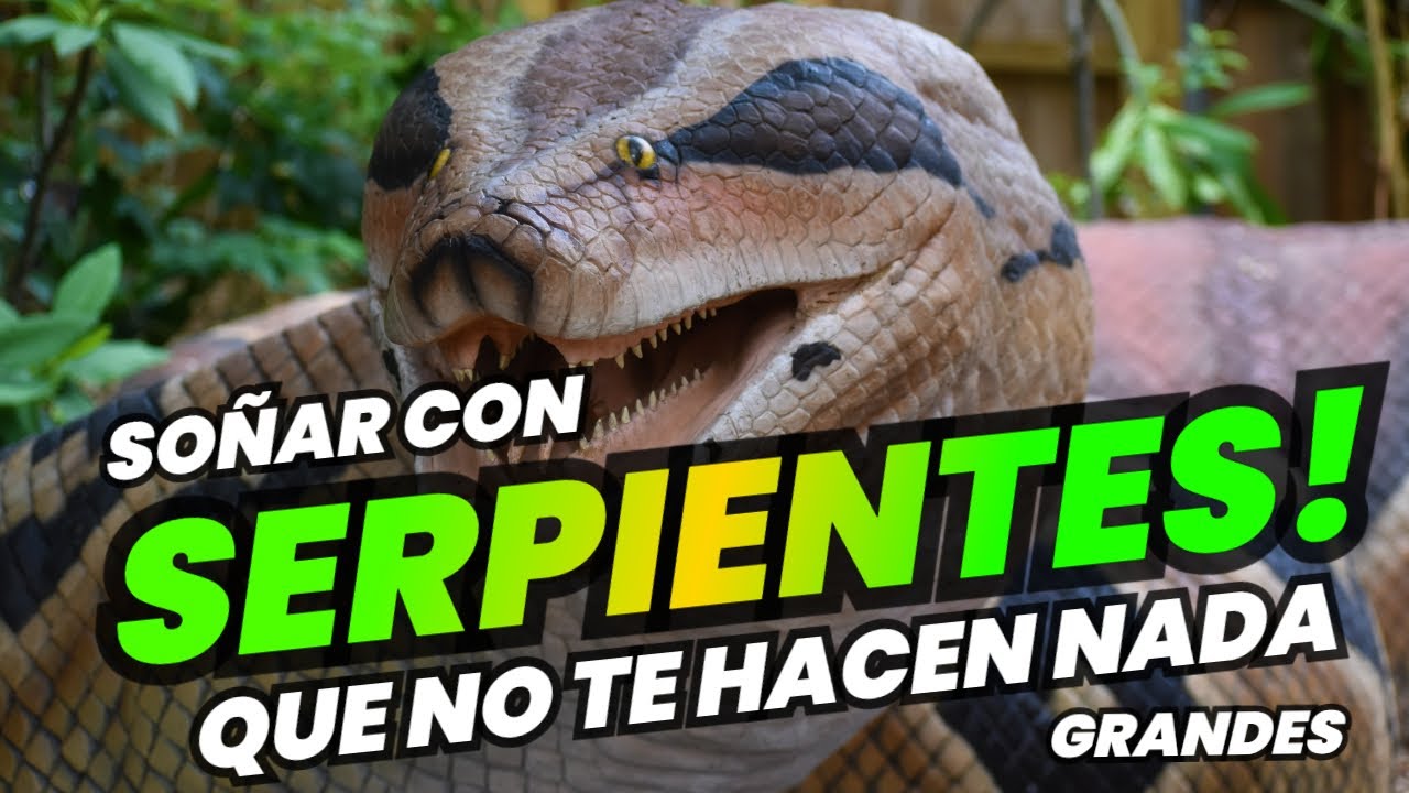 que significa soñar con una serpiente grande