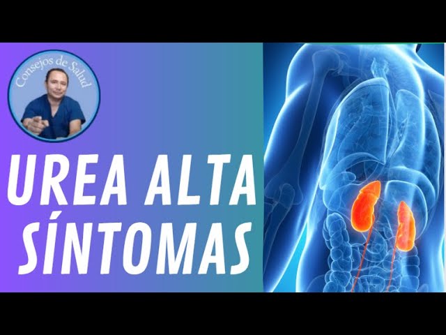 que significa tener la urea alta