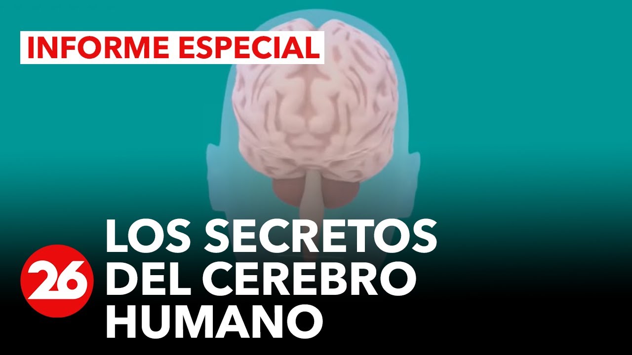 síntomas de falta de oxígeno en el cerebro