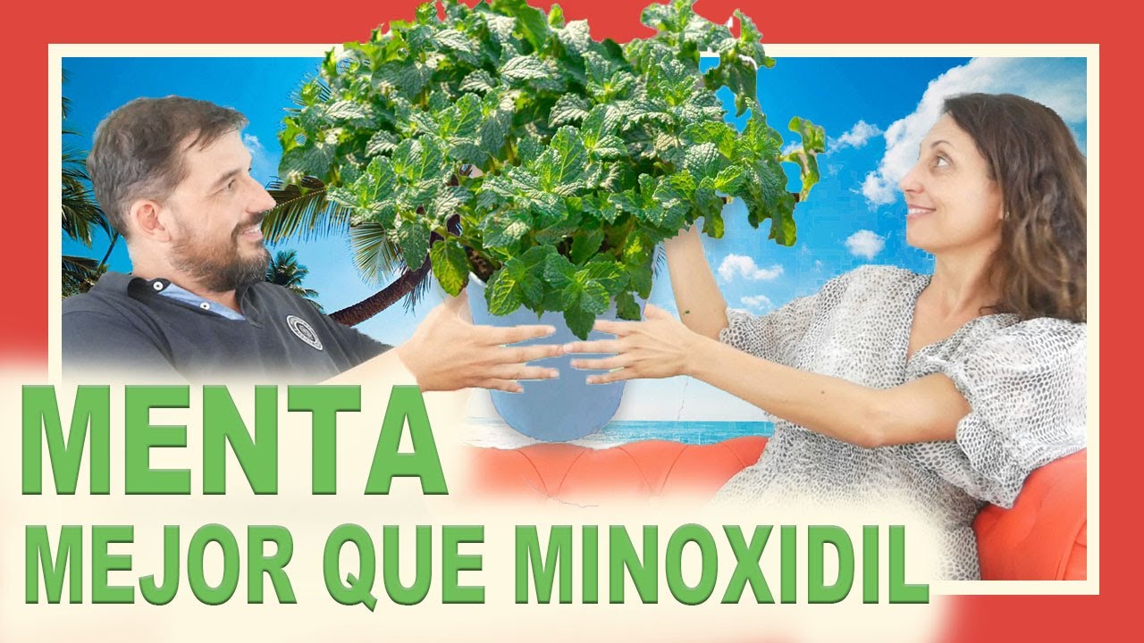 aceite de menta para el pelo