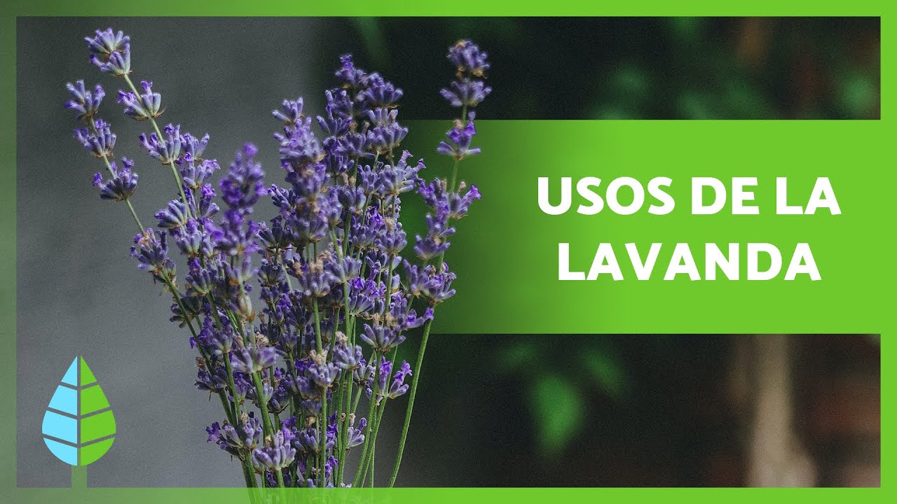 agua de lavanda para el acné