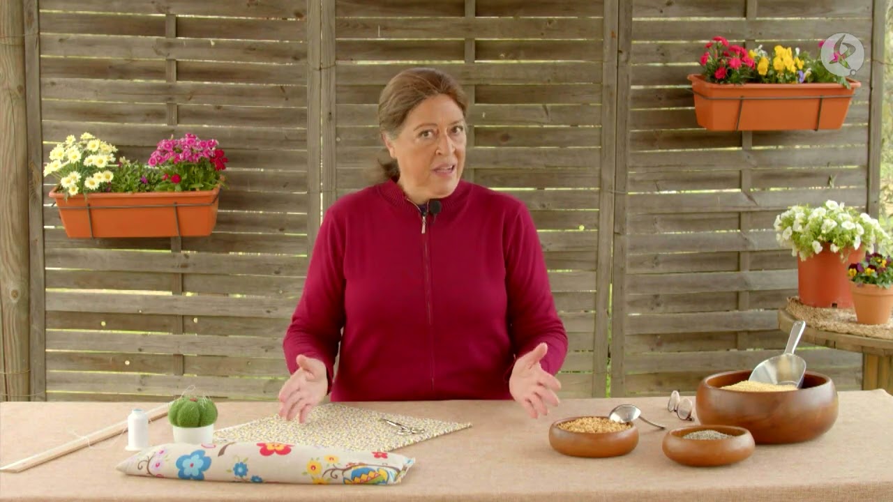 bichos en los sacos de semillas