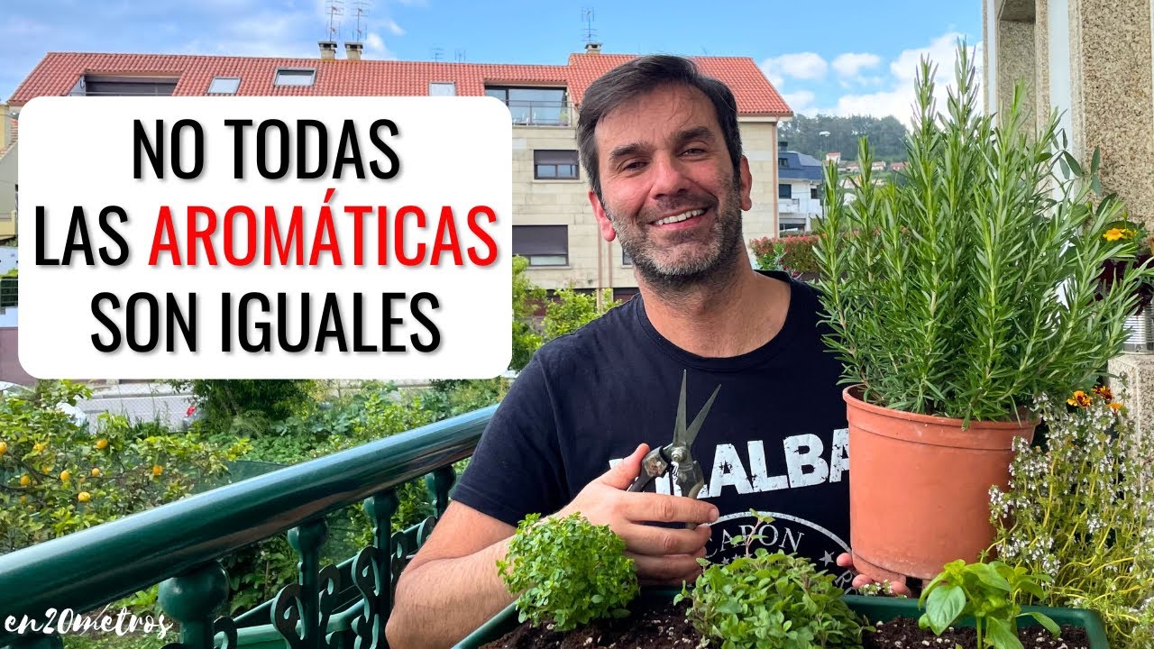 como organizar un jardin de plantas aromaticas