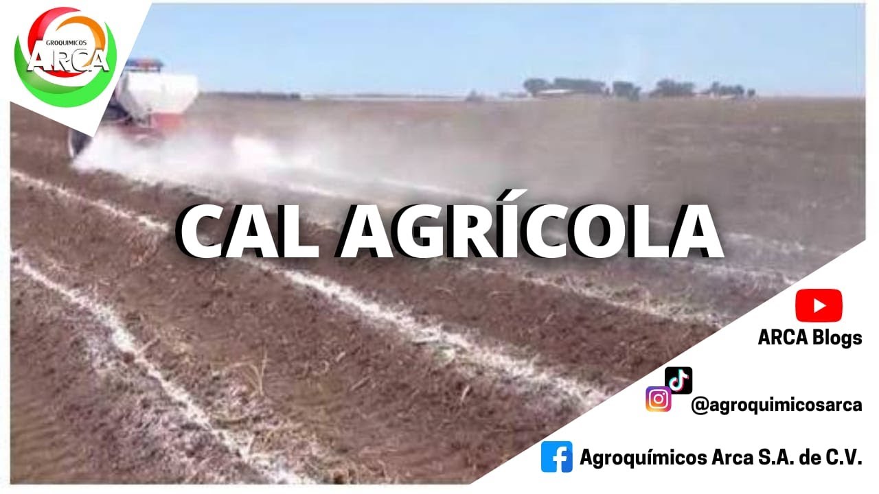 cuando echar cal a la tierra