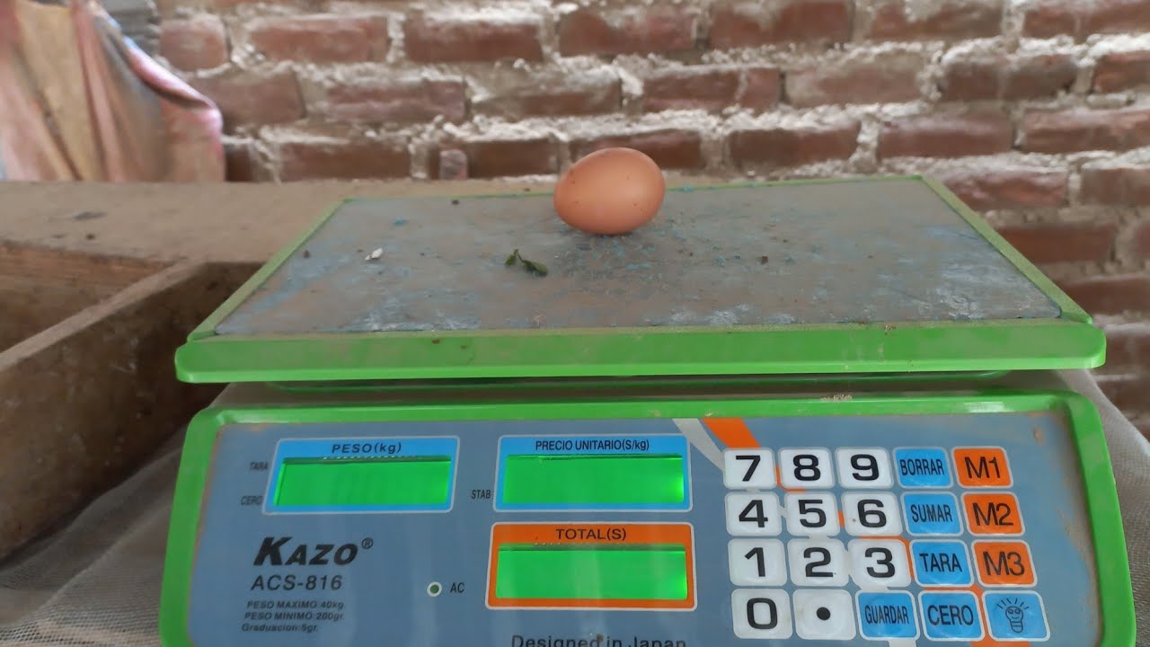cuanto pesa un huevo de gallina