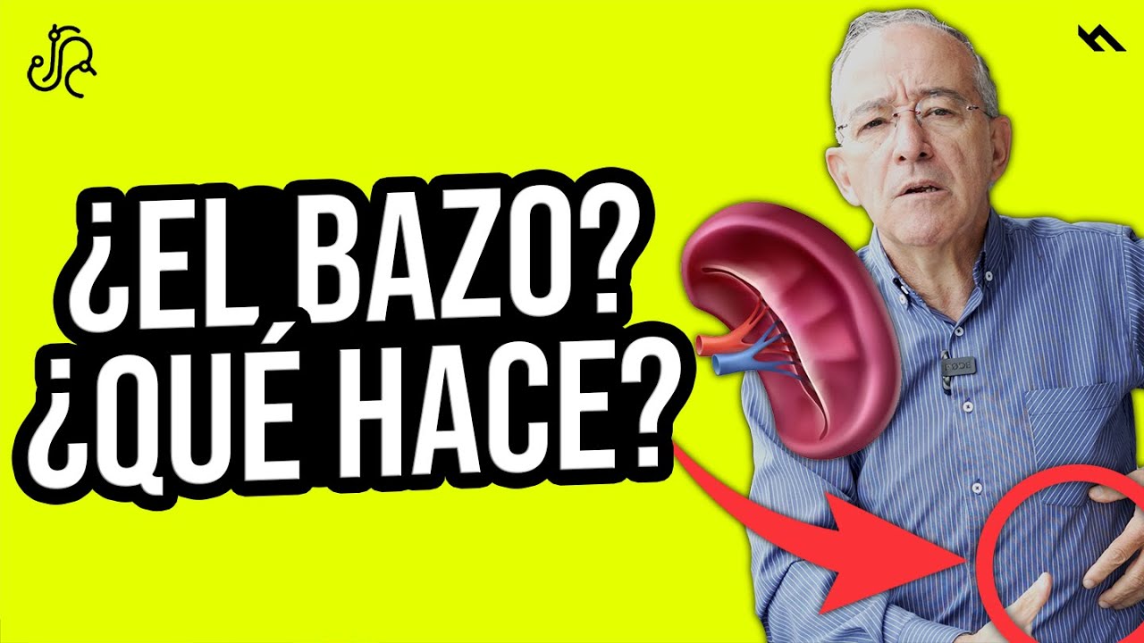 cuanto tiempo puede vivir una persona sin el bazo