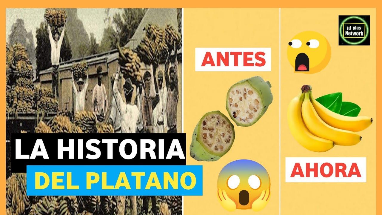 de donde es originario el platano