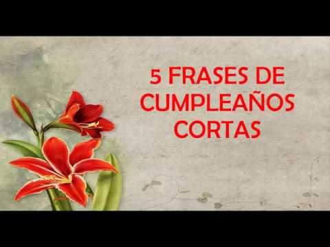 dedicatorias frases bonitas para felicitar cumpleaños a tu pareja