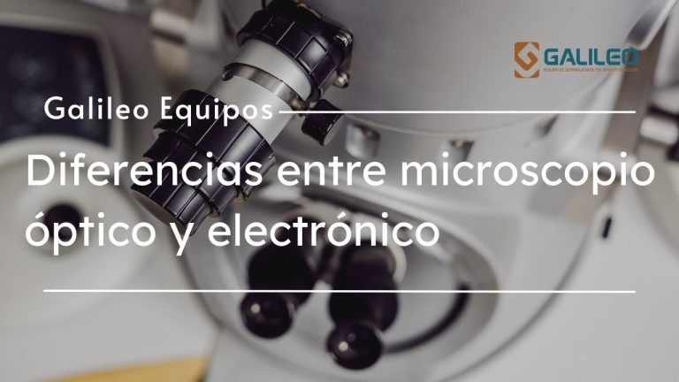 Diferencia entre Microscopio Óptico y Electrónico: Guía Completa para ...