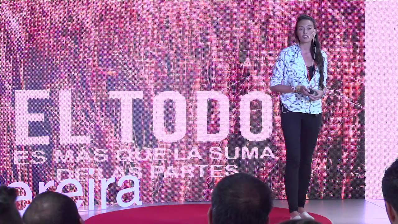 el todo es mas que la suma de las partes