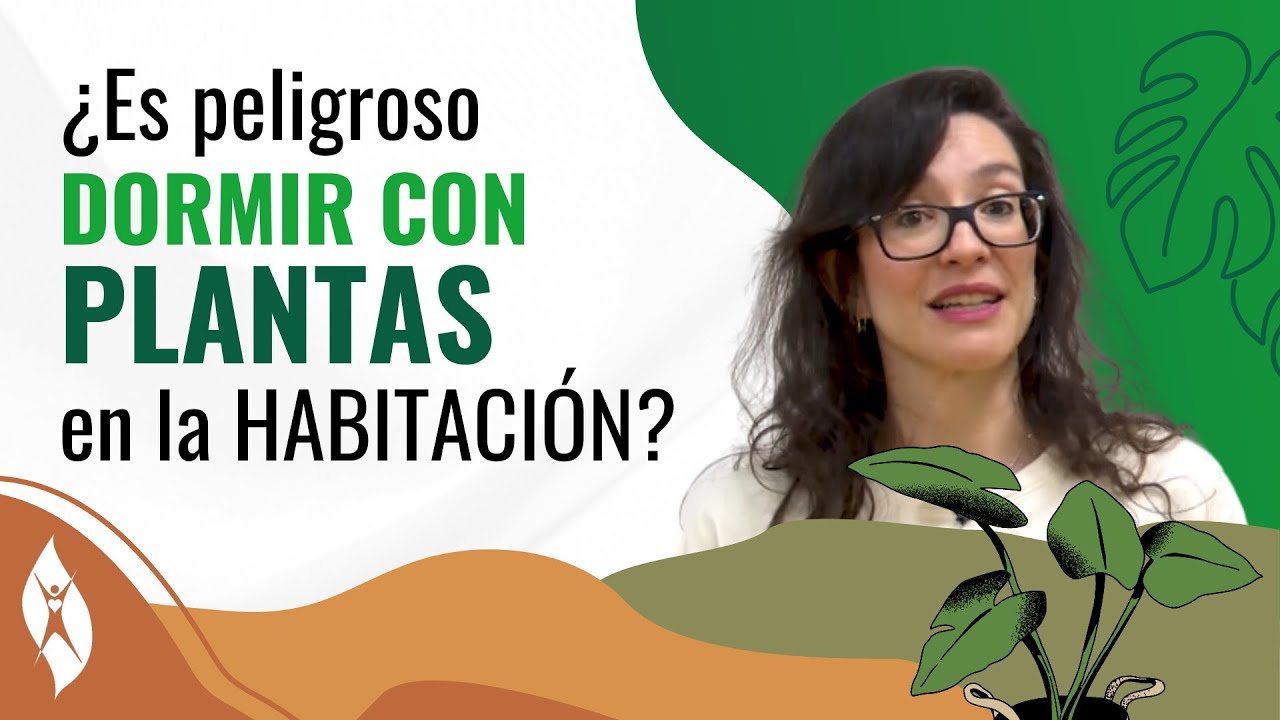es malo dormir con plantas en la habitación