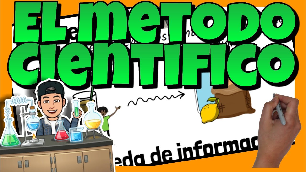 etapas del método científico 2 eso