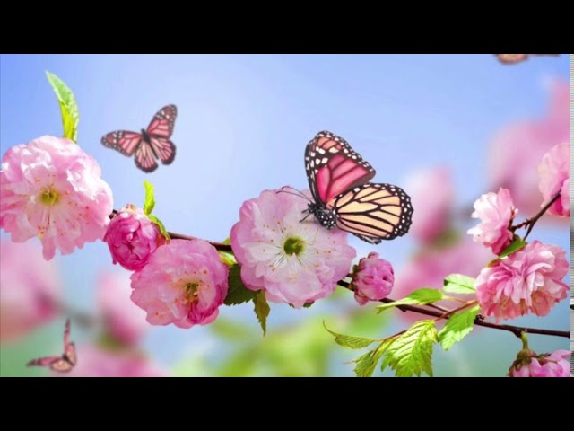 la primavera ha venido antonio machado