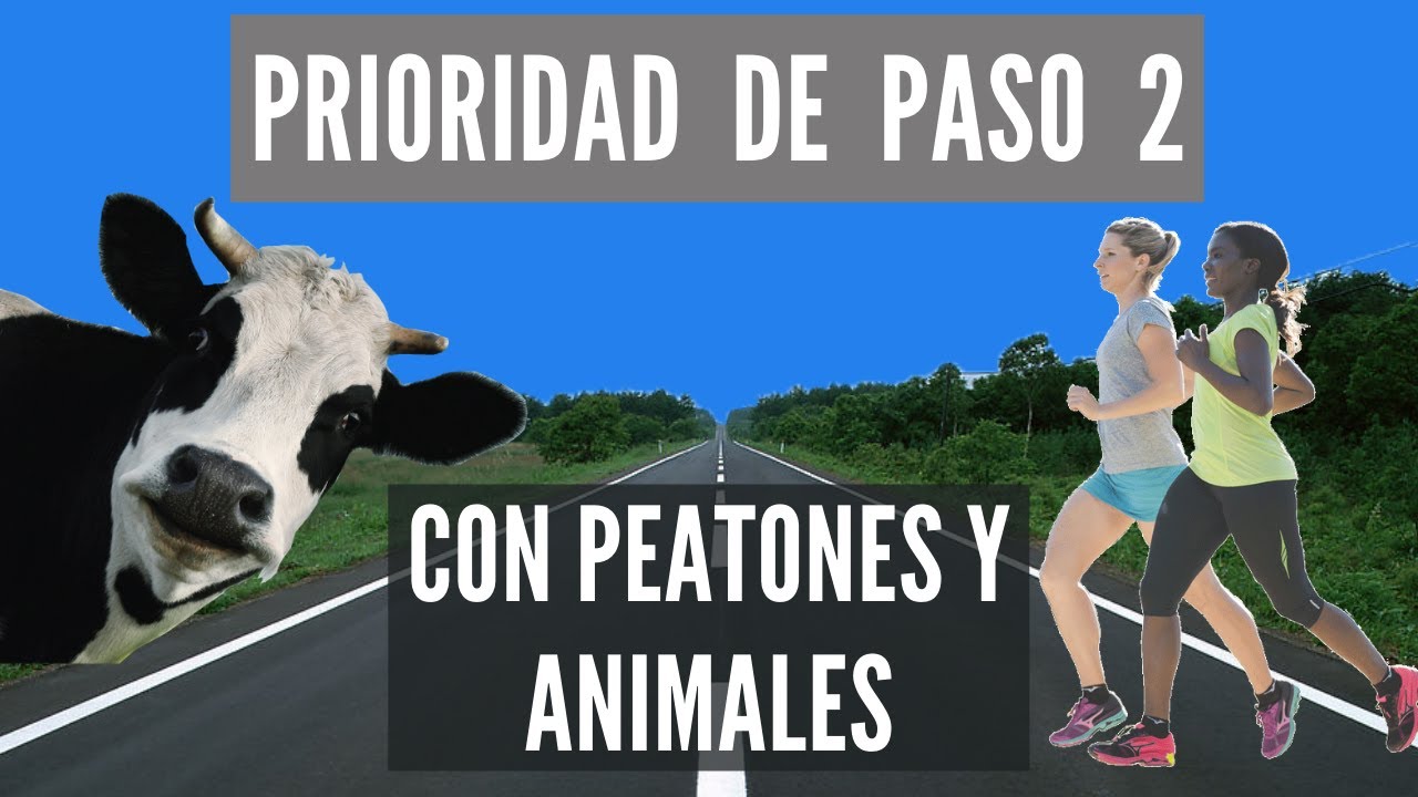 los animales cuando tienen preferencia de paso