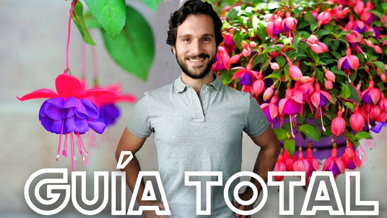 los pendientes de la reina planta