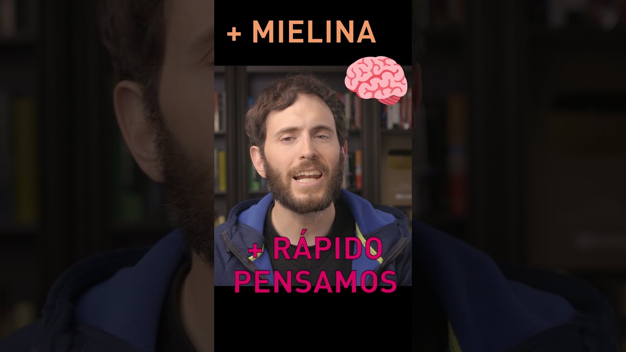 omega 3 para bajar el cortisol