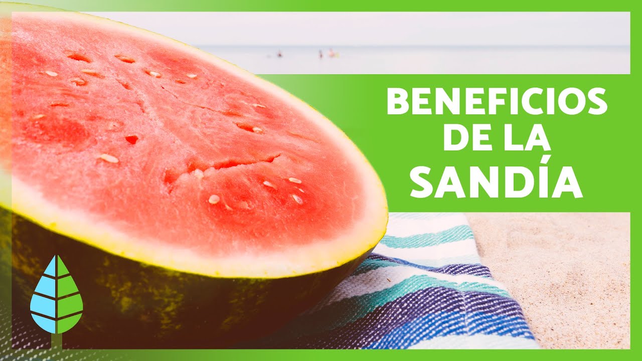 para que es bueno la sandia