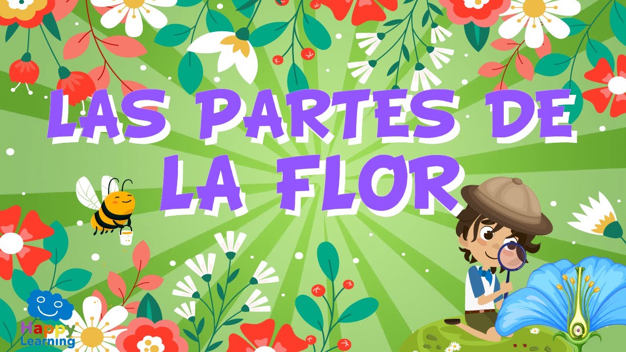 partes de las flores y sus funciones