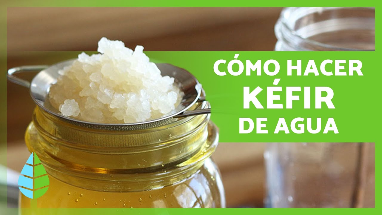 que es el kefir de agua