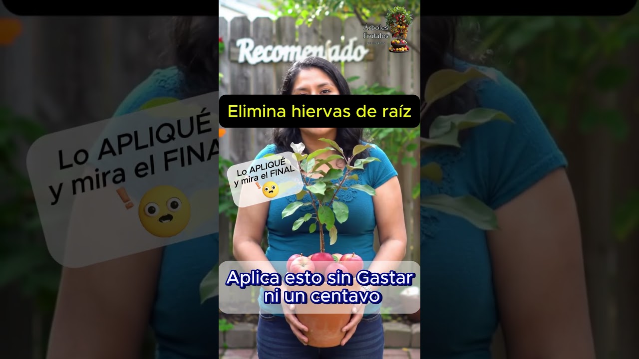 sal y vinagre para las malas hierbas