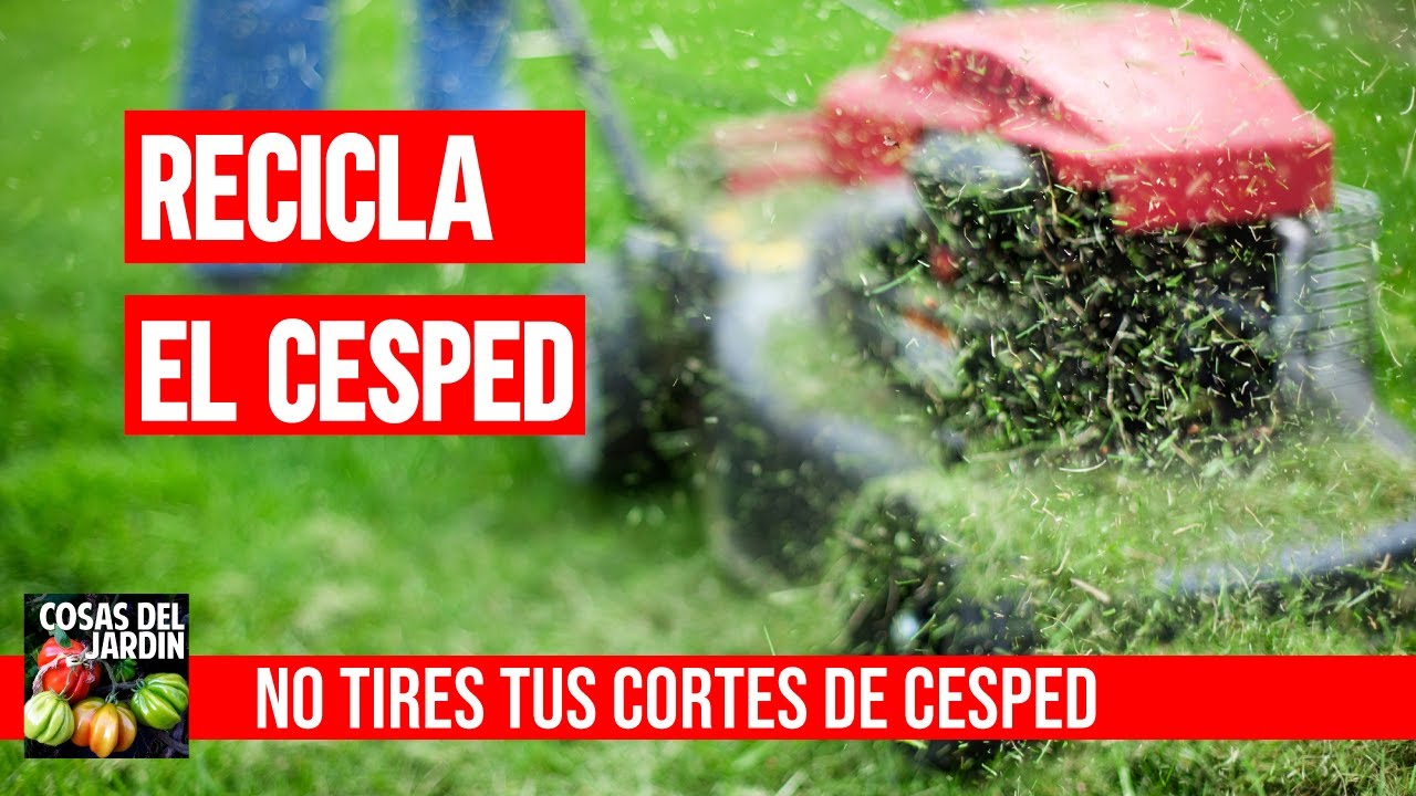 se puede dejar la hierba cortada sin recoger