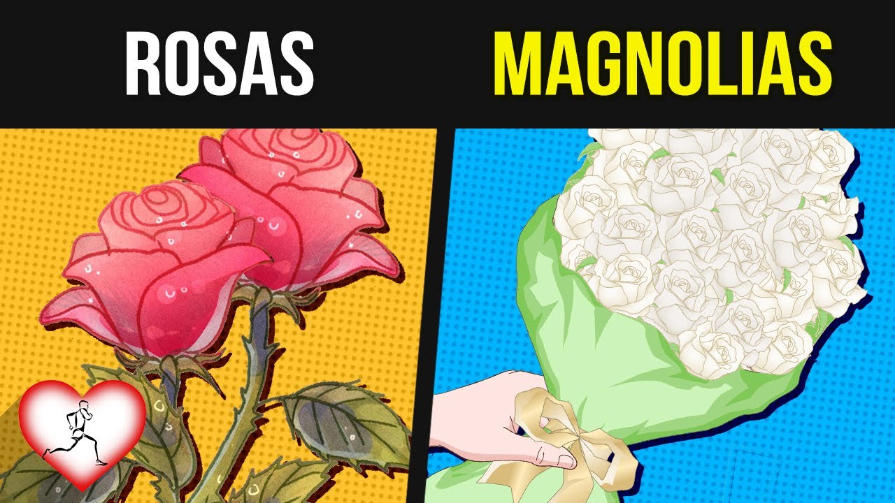 significados de las flores para regalar