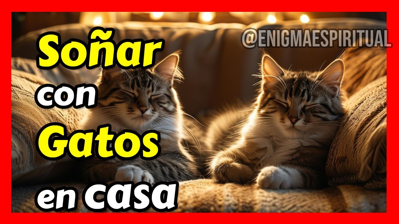 soñar con gatos que entran a mi casa