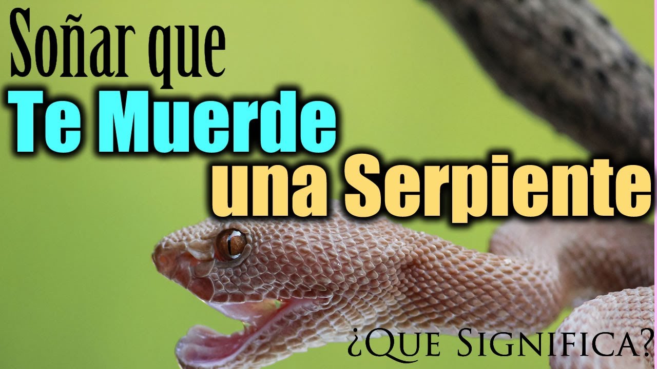 soñar que una serpiente te ataca pero no te muerde