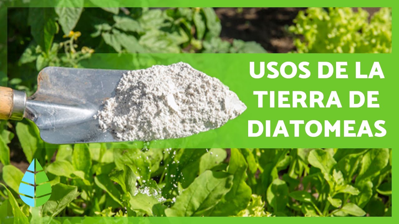 usos de la tierra de diatomeas