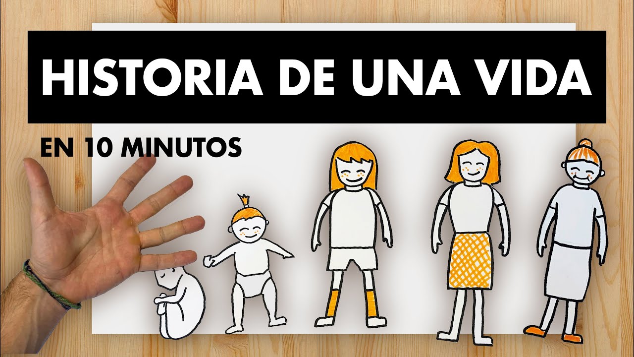 4 etapas de la vida del ser humano