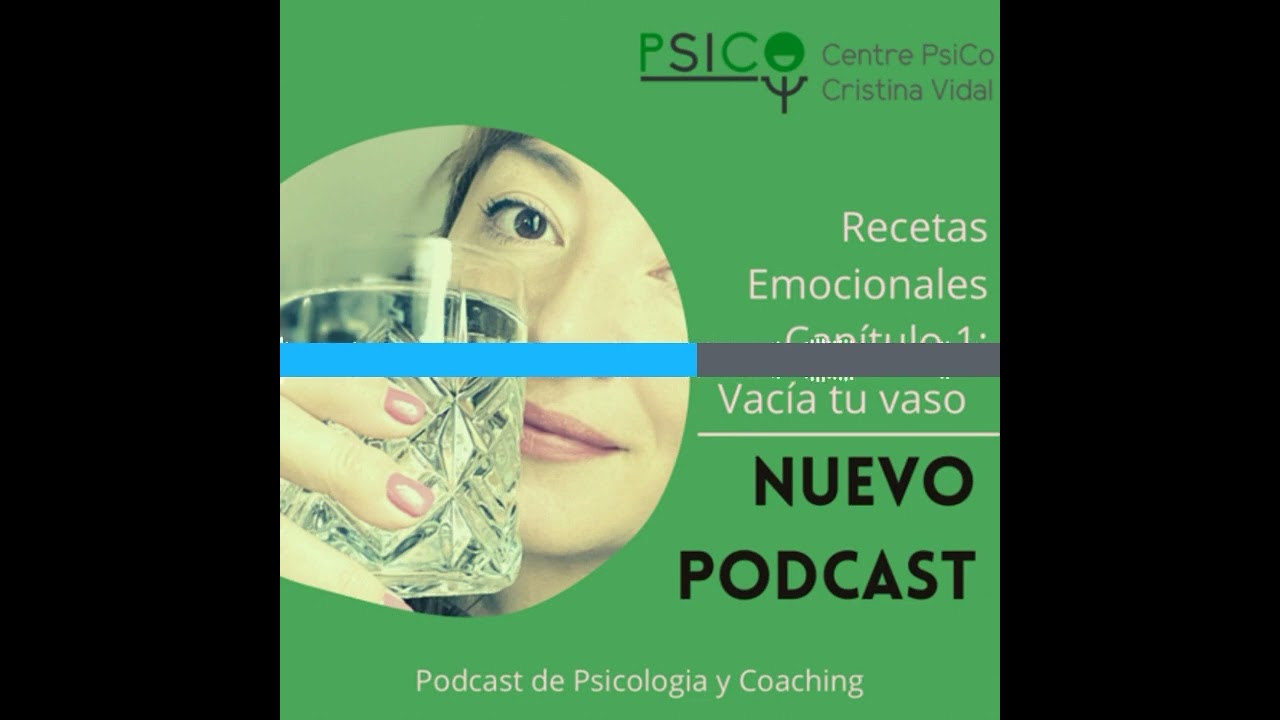 centre psico lleida cristina vidal. psicologia i més