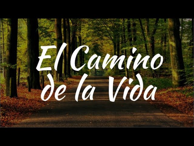 cortas frases del camino de la vida