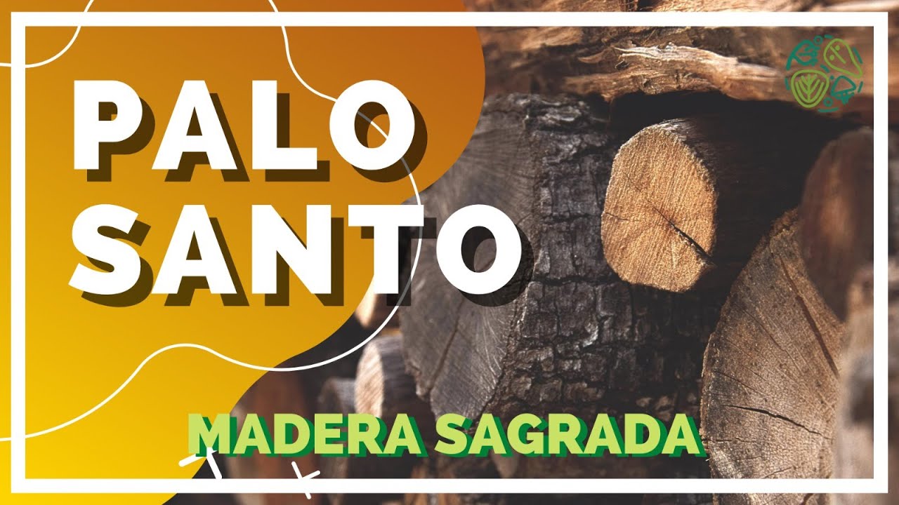 de donde sale el palo santo