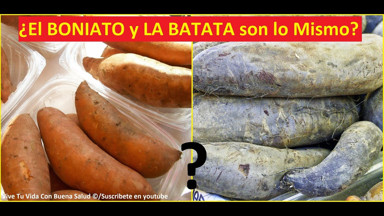 el boniato y la batata es lo mismo