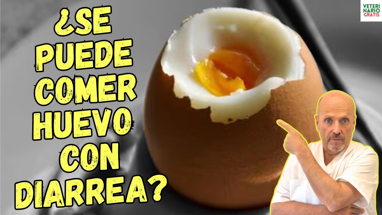 el huevo es bueno para la diarrea